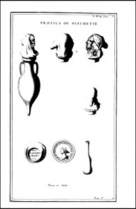 Supplement au livre de l'antiquite expliquee et representee en figures. T. 5, qui comprend les funerailles 1724 (131113406)