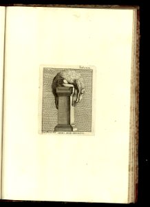 Vetera monvmenta Matthaeiorum. Vol. 2 1778 (13086739)