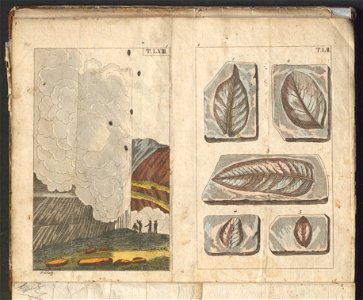 Swiat w obrazach - wiazanie dla dzieci, z opisaniem i 300 wizerunkami 1842 (123383136)