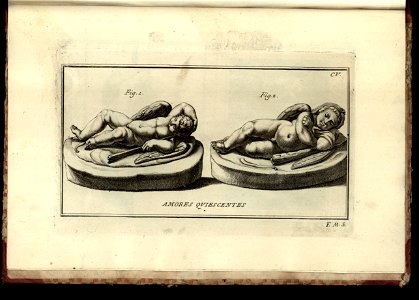Vetera monumenta Vol. 1, Statuas compr 1779 (12464623)