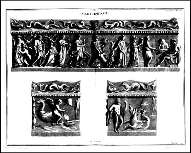 Supplement au livre de l'antiquite expliquee et representee en figures. T. 5, qui comprend les funerailles 1724 (131113658)