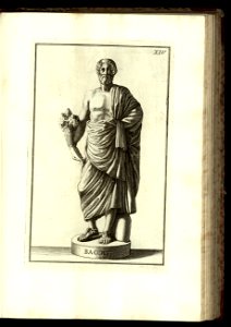 Vetera monumenta Vol. 1, Statuas compr 1779 (12464040)