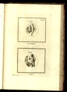 Vetera monvmenta Matthaeiorum. Vol. 2 1778 (13086245)