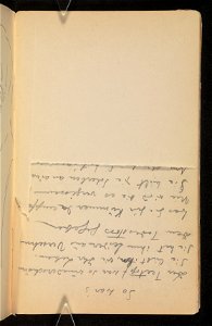 Szkicownik Ludwika Pugeta ze szkicami zwierzat i osob - Inc. - Drezno 1915 (74164930)