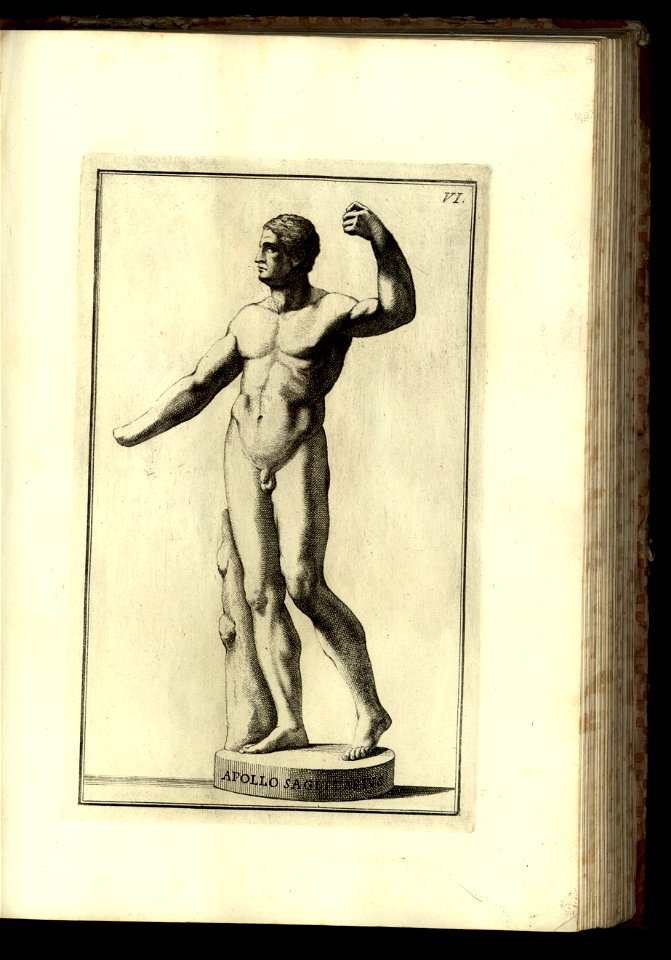 Vetera monumenta Vol. 1, Statuas compr 1779 (12463990)