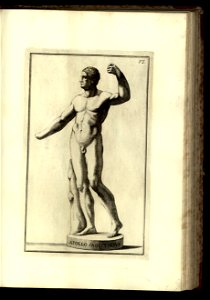 Vetera monumenta Vol. 1, Statuas compr 1779 (12463990)