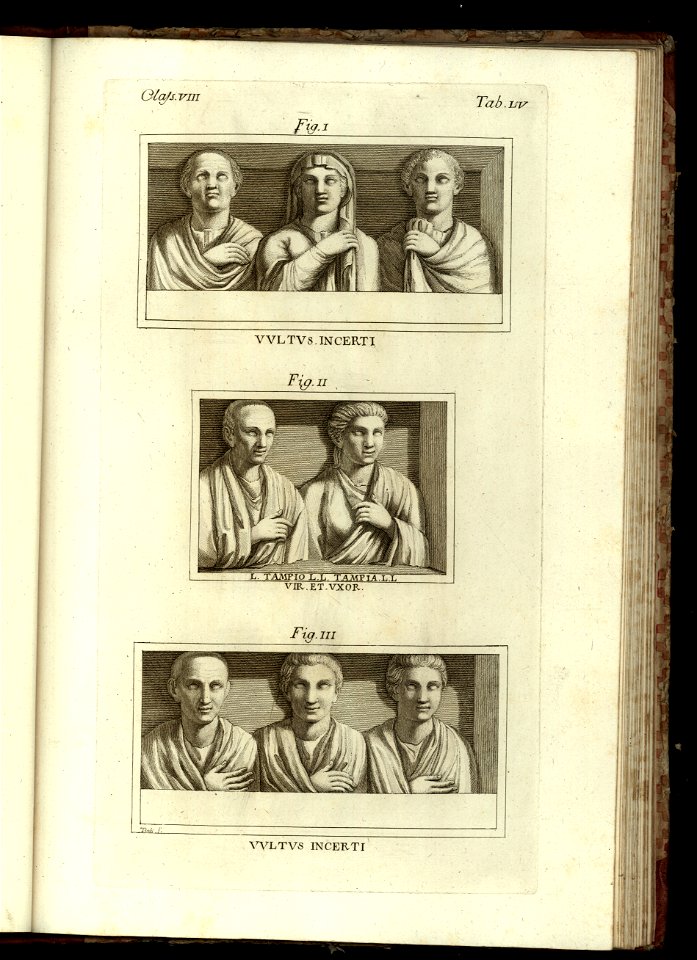 Vetera monvmenta Matthaeiorum. Vol. 2 1778 (13086363)