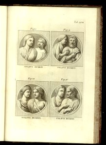 Vetera monvmenta Matthaeiorum. Vol. 2 1778 (13086453)