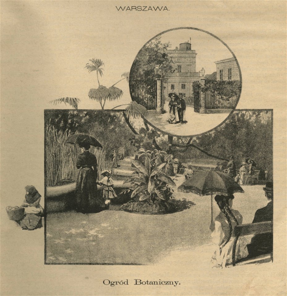 Warszawa. Ogród Botaniczny (52809)