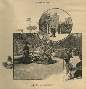 Warszawa. Ogród Botaniczny (52809)