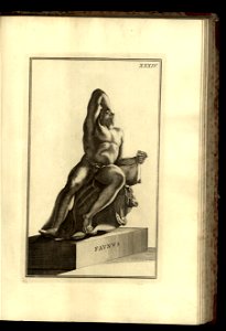 Vetera monumenta Vol. 1, Statuas compr 1779 (12464137)