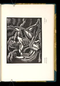 Wladyslaw Skoczylas 1925 (82492088)