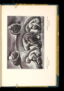 Wladyslaw Skoczylas 1925 (82492096)