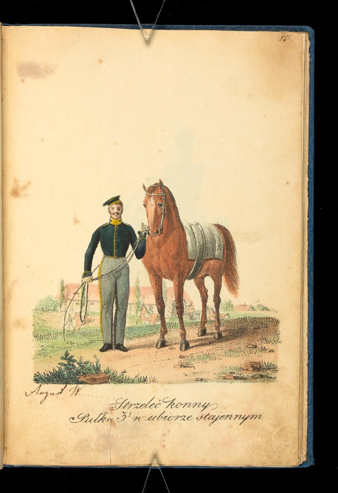 Wojsko Polskie 1815-1831, strzelec konny trzeciego pulku (84157415)