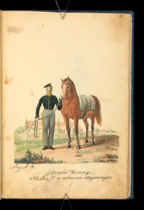 Wojsko Polskie 1815-1831, strzelec konny trzeciego pulku (84157415)