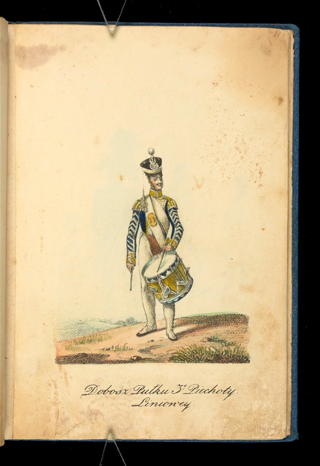 Wojsko Polskie 1815-1831, dobosz (84156113)