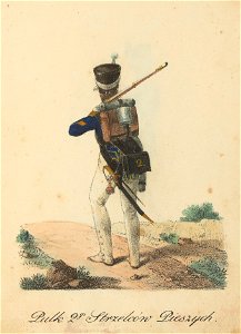 Wojsko Polskie 1815-1831, drugi pulk strzelcow (84156766)