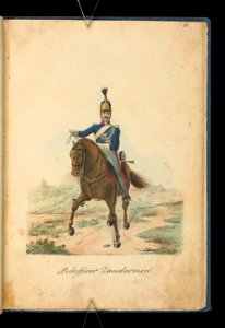 Wojsko Polskie 1815-1831, podoficer zandarmow (84159587)