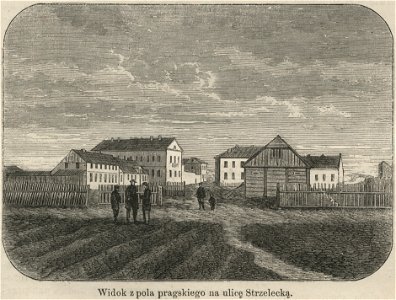 Widok z pola pragskiego na ulicę Strzelecką (58435)