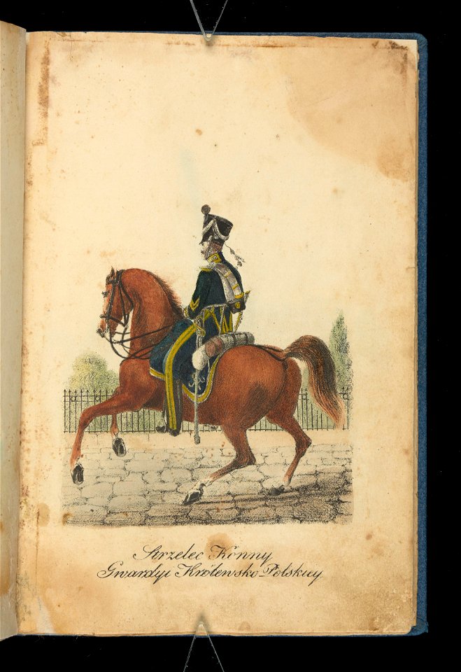 Wojsko Polskie 1815-1831, strzelec konny (84138528)