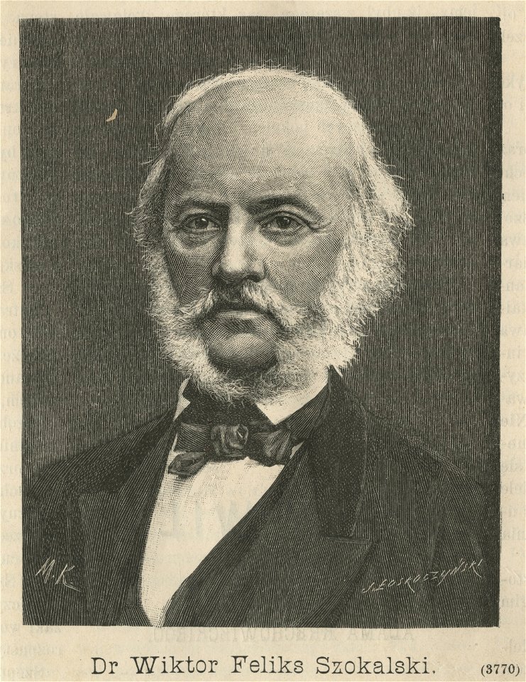 Wiktor Szokalski (59524)