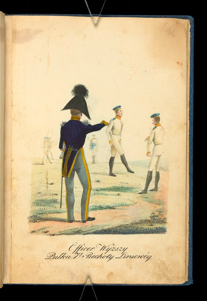 Wojsko Polskie 1815-1831, wyzszy oficer siodmego pulku piechoty (84156222)