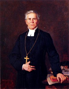 Frans Ludvig Schauman by Reinhold