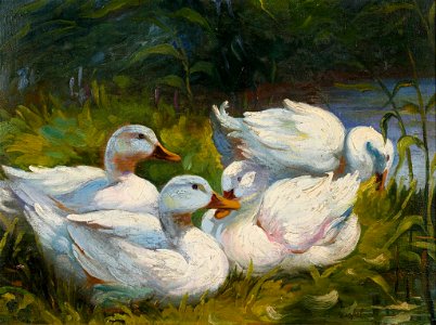 Franz Grässel Vier Enten am Wasser