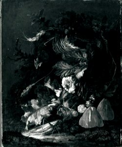 Franz de Hamilton (^) - Stillleben mit Vogelnest - 6531 - Bavarian State Painting Collections