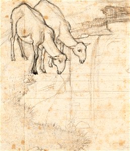 Franz Horny Zwei trinkende Schafe Skizze