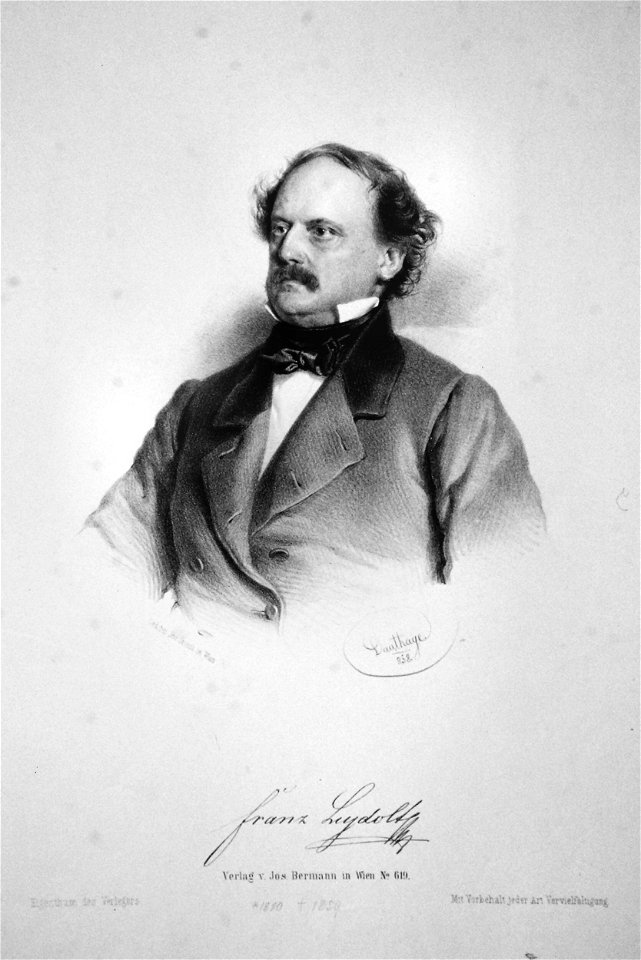 Franz Leydolt 1858 Litho