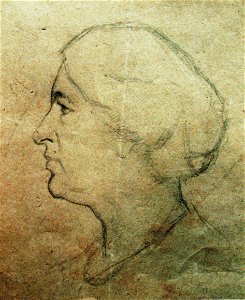 Frederic Storck - Desene - Profil de femeie (1)
