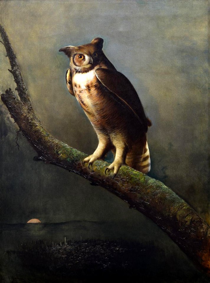 Frederick A. Spang - Great Horned Owl - 2002.20.1 - Reading Public Museum