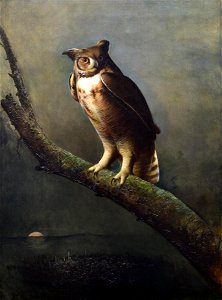 Frederick A. Spang - Great Horned Owl - 2002.20.1 - Reading Public Museum