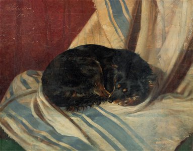 Friedrich Carl von Scheidlin - Study of a Dog Lying Down - O 611 - Slovak National Gallery