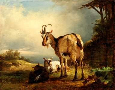 Friedrich Gauermann Ziege mit zwei Zicklein