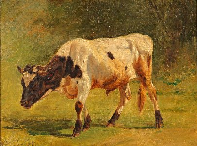 Friedrich Voltz Stier 1838