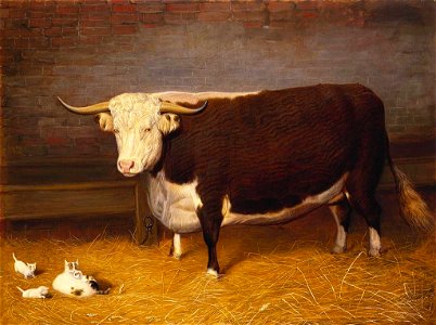Friedrich Wilhelm Keyl (1823-71) - A Hereford Bullock - RCIN 407559 - Royal Collection