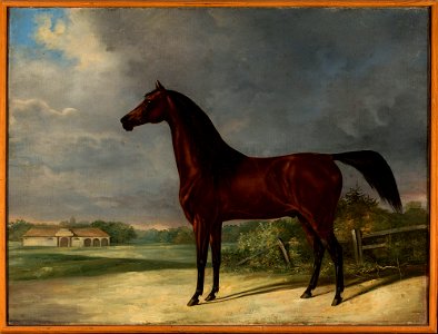Friedrich Leopold Bürde - Bay horse - 131122 MNW - National Museum in Warsaw