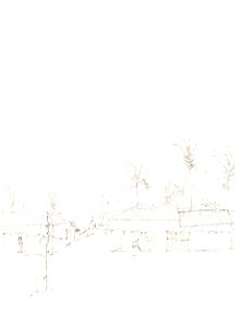 Friedrich Sellow Va Viçosa 1817