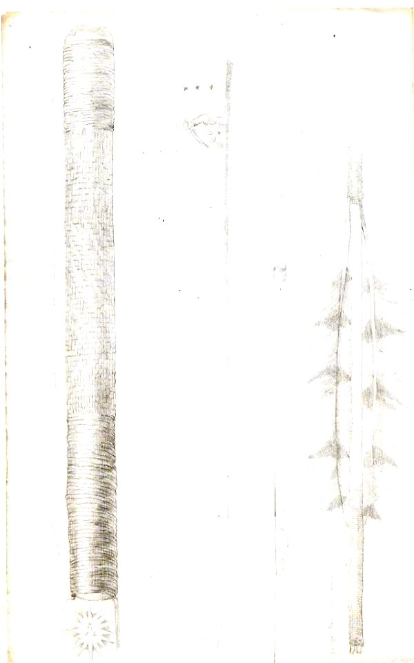 Friedrich Sellow Waffen 1823