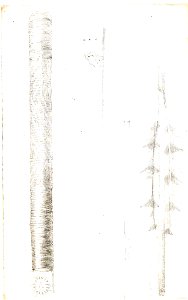 Friedrich Sellow Waffen 1823