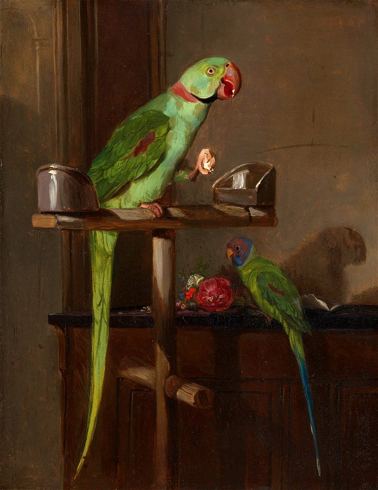 Friedrich Wilhelm Keyl (1823-71) - Two Parakeets - RCIN 405442 - Royal Collection