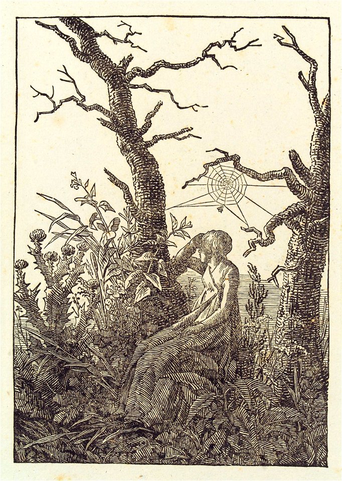 Caspar David Friedrich - Melancholie (Herzog August Bibliothek)