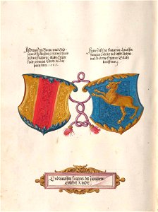 Fugger Ehrenbuch 381