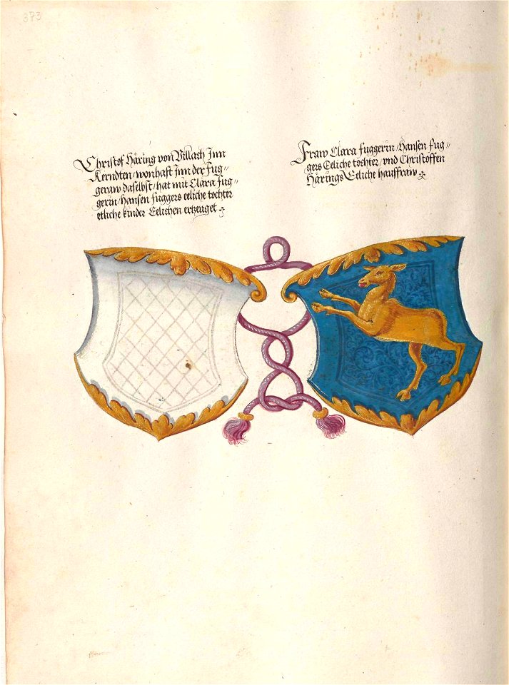 Fugger Ehrenbuch 373