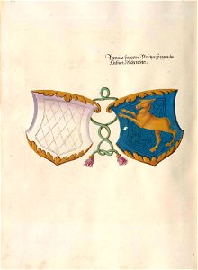 Fugger Ehrenbuch 419