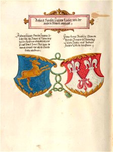 Fugger Ehrenbuch 375