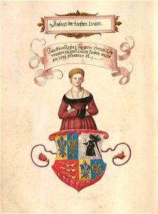 Fugger Ehrenbuch 088
