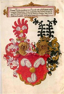 Fugger Ehrenbuch 014